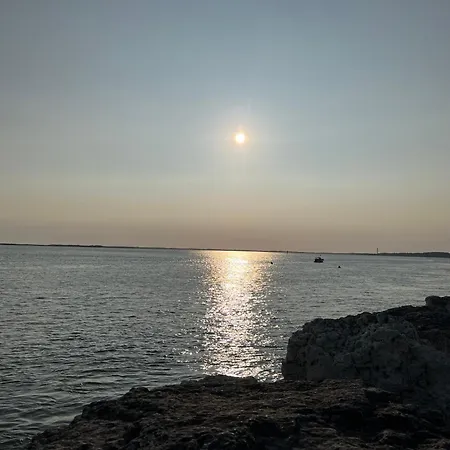 Nyaraló Maison La Palmyre *