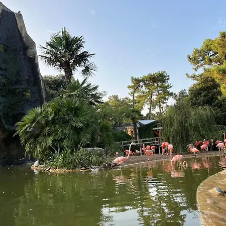 Maison La Palmyre Nyaraló *